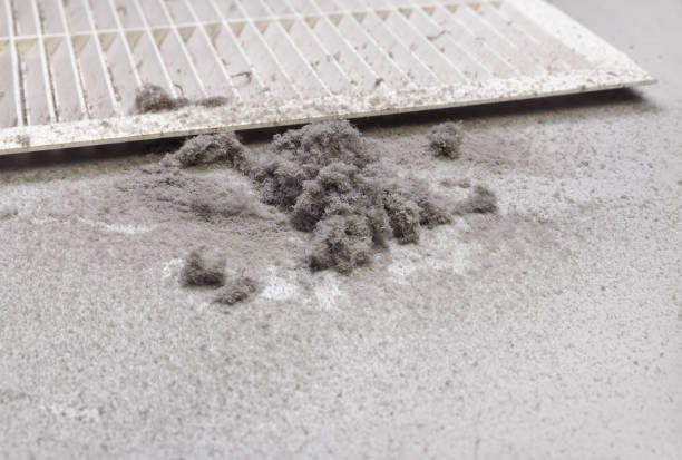 Best Affordable Air Duct Cleaning  in Clio, AL