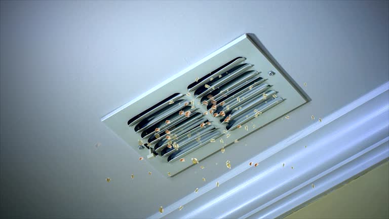 Professional Airduct Cleaning in Clio, AL