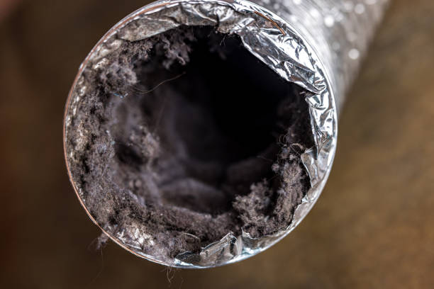 Best HVAC Duct Inspection Services  in Clio, AL