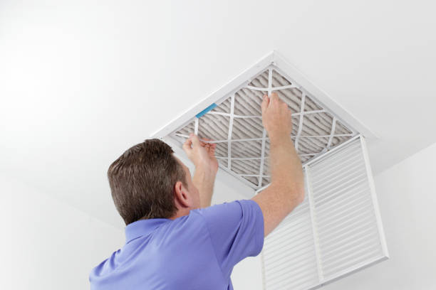 Best Ductwork Cleaning Services  in Clio, AL